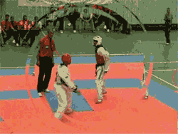 taekwondo