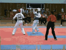 taekwondo