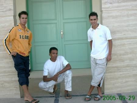 youseflee@hotmail.com